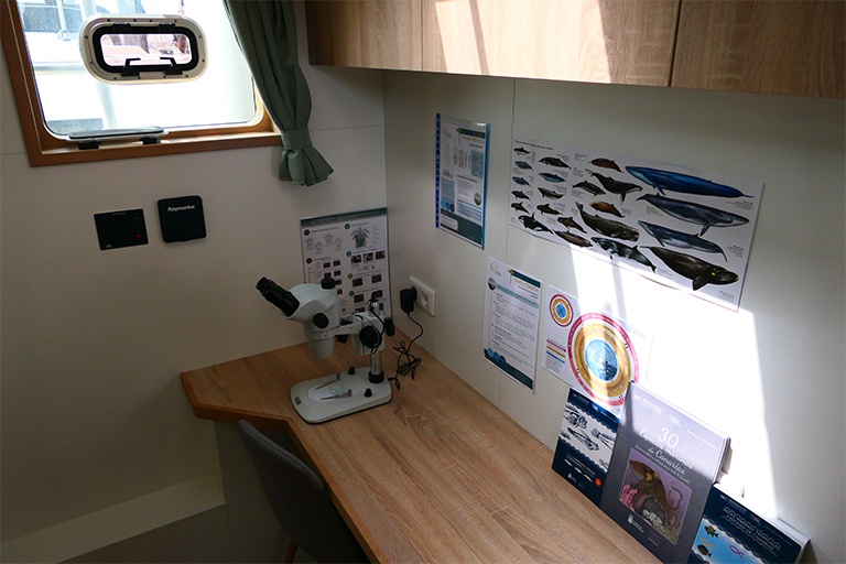 Esteroscópio VWR VisiScope 360