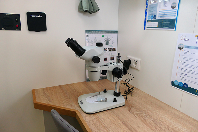 Esteroscópio VWR VisiScope 360