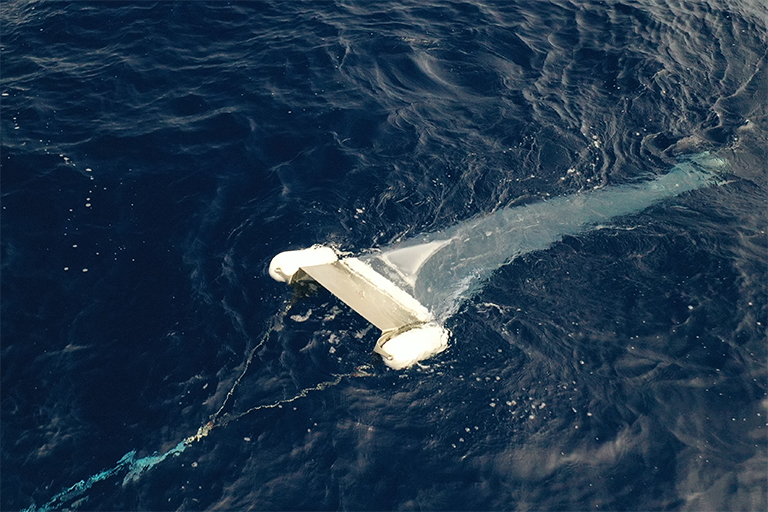 Red manta para microplásticos (CP3 110)